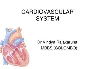 CARDIOVASCULAR SYSTEM