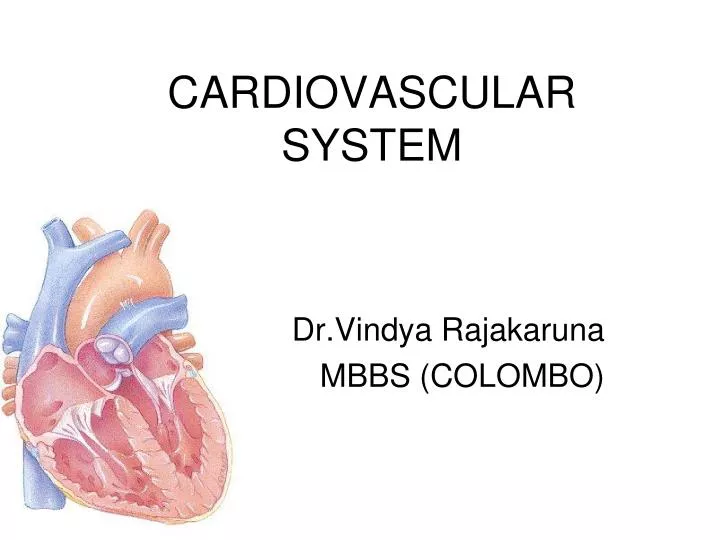 cardiovascular system