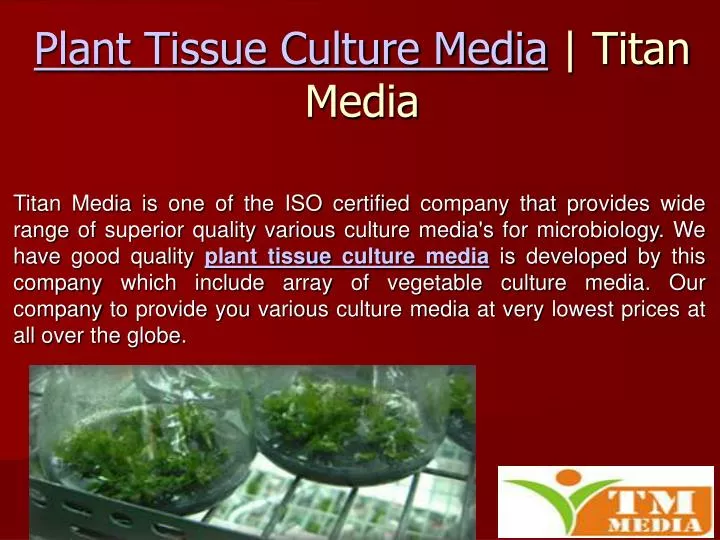 plant tissue culture media titan media