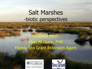 Salt Marshes -biotic perspectives