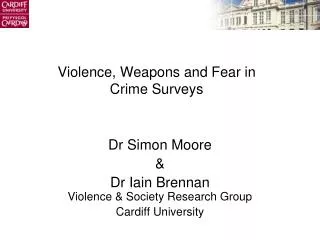 Violence, Weapons and Fear in Crime Surveys