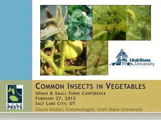 Common Insects in Vegetables Urban &amp; Small Farms Conference February 27, 2013 Salt Lake City, UT