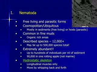 Nematoda Free living and parasitic forms Cosmopolitan/Ubiquitous Mostly in sediments (free living) or hosts (parasitic)