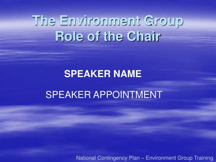 the environment group role of the chair