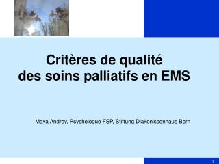 Critères de qualité des soins palliatifs en EMS