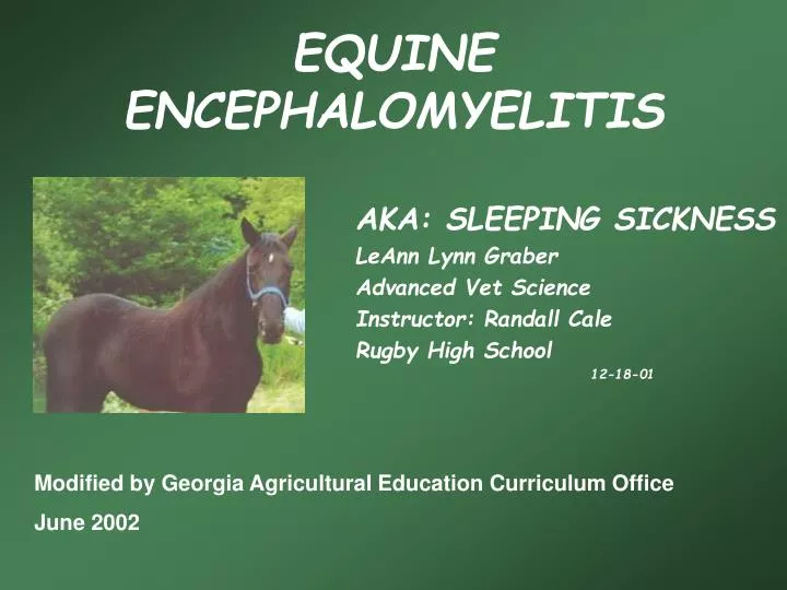 equine encephalomyelitis