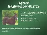 EQUINE ENCEPHALOMYELITIS - slide 1