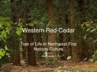 Western Red-Cedar