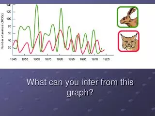 What can you infer from this graph?