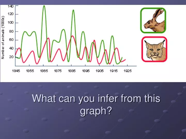 what can you infer from this graph