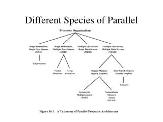 Different Species of Parallel