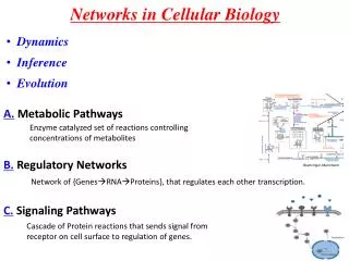 Networks in Cellular Biology