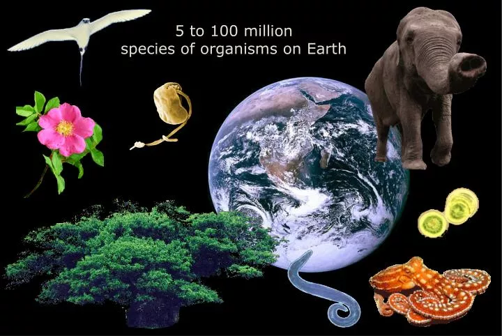 5 to 100 million species of organisms on earth