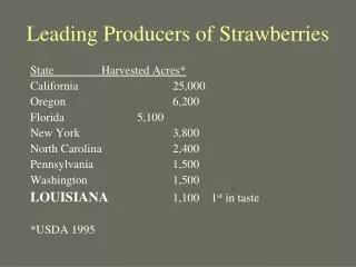Leading Producers of Strawberries