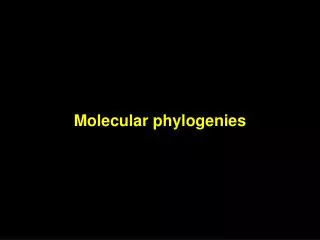 Molecular phylogenies