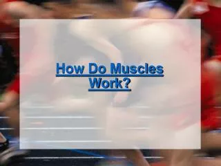 How Do Muscles Work?