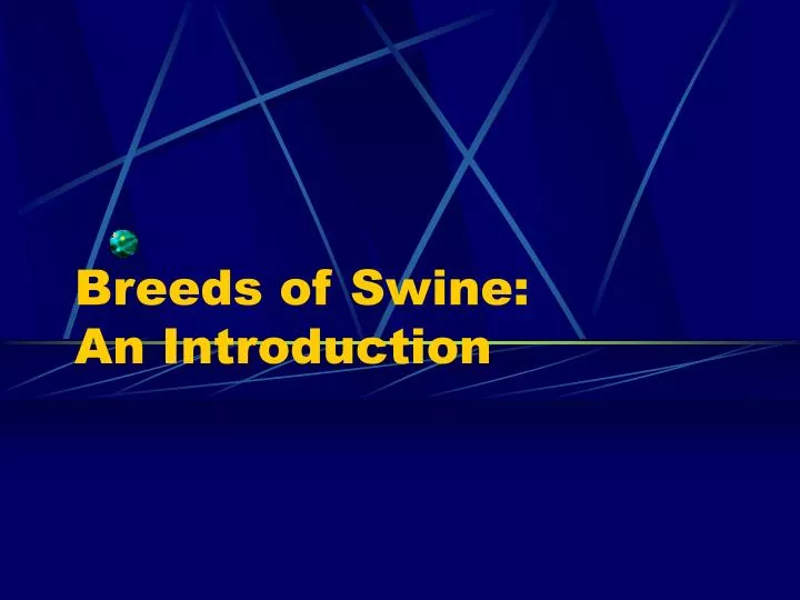 breeds of swine an introduction