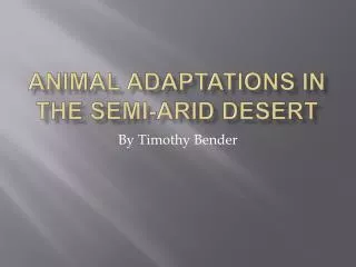 Animal Adaptations in the Semi-Arid Desert