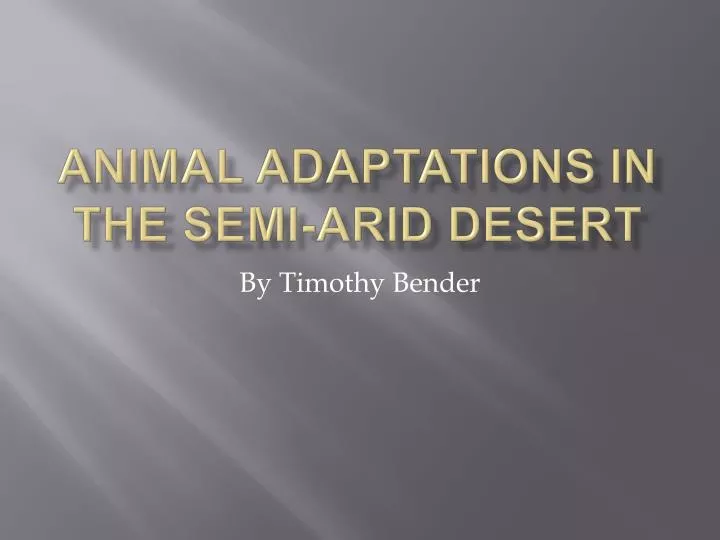 animal adaptations in the semi arid desert