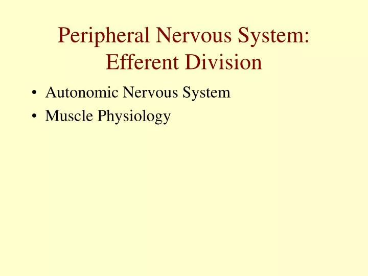 peripheral nervous system efferent division