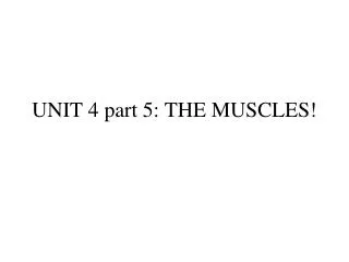 UNIT 4 part 5: THE MUSCLES!