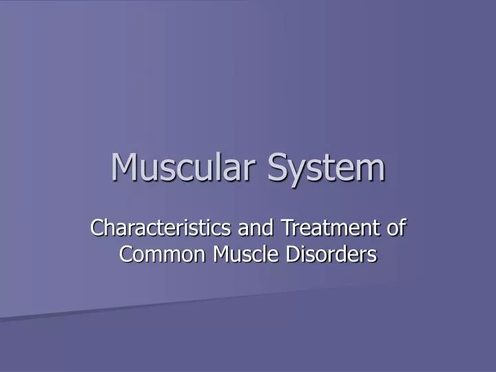 muscular system