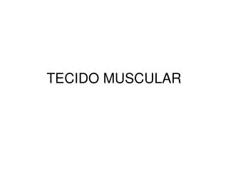 tecido muscular