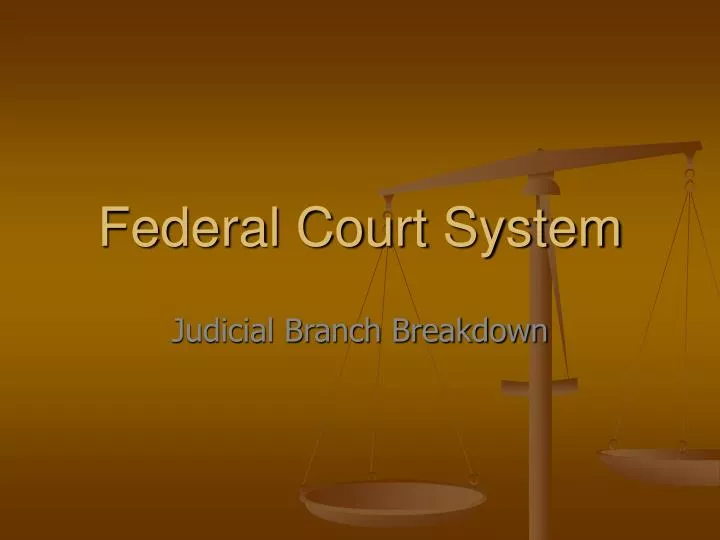 federal court system