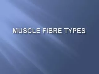Muscle Fibre types