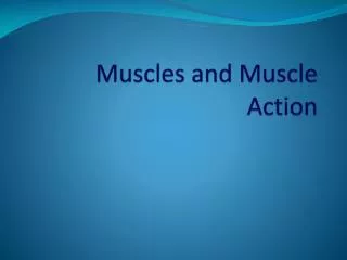 muscles and muscle action