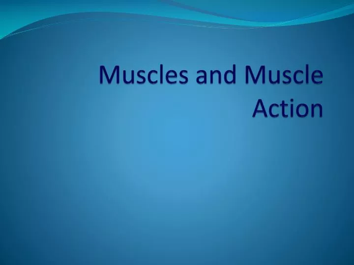 muscles and muscle action