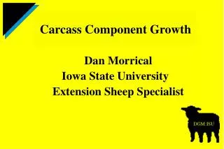 Dan Morrical Iowa State University Extension Sheep Specialist