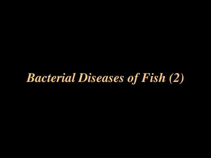 bacterial diseases of fish 2
