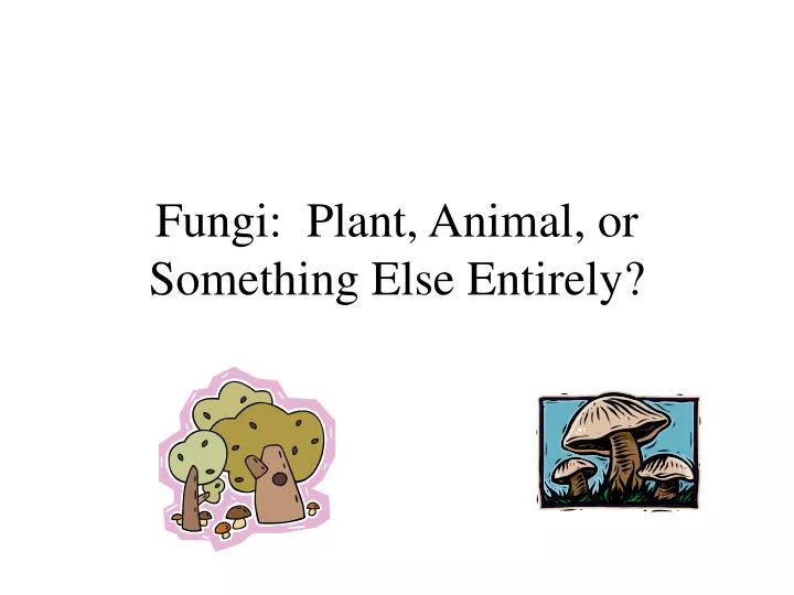 fungi plant animal or something else entirely