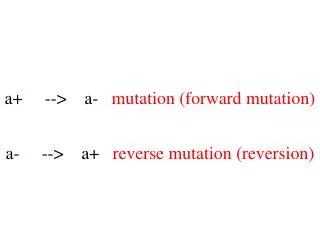 a+ --&gt; a- mutation (forward mutation)