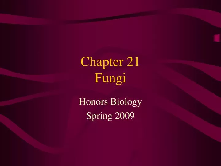 chapter 21 fungi