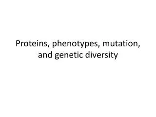Proteins, phenotypes, mutation, and genetic diversity