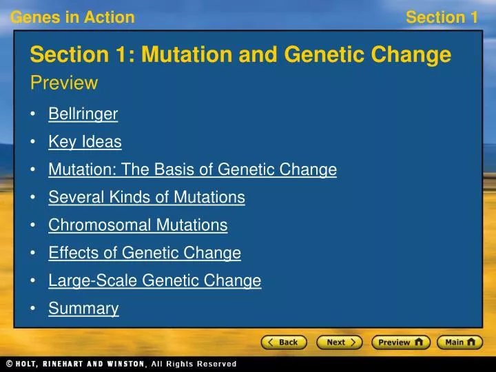 section 1 mutation and genetic change