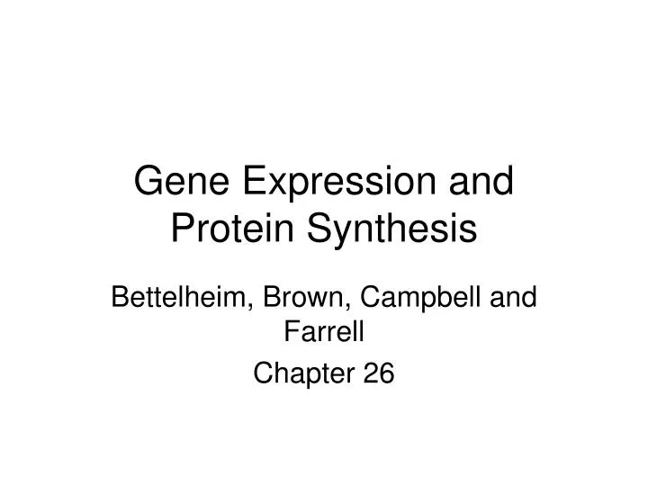 gene expression and protein synthesis