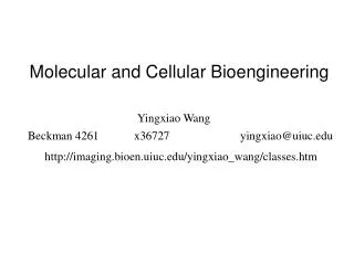 Molecular and Cellular Bioengineering