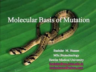 Molecular Basis of Mutation