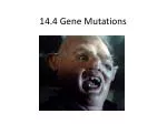 14.4 Gene Mutations - slide 1