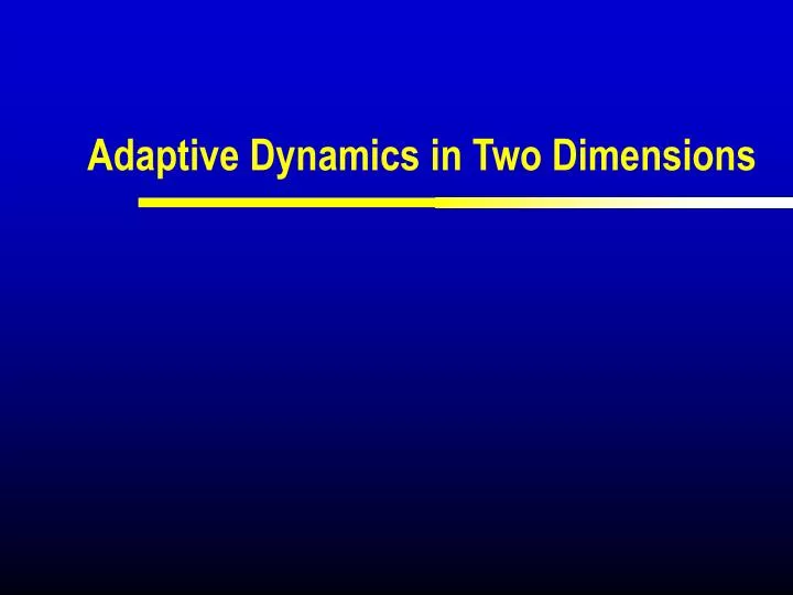 adaptive dynamics in two dimensions