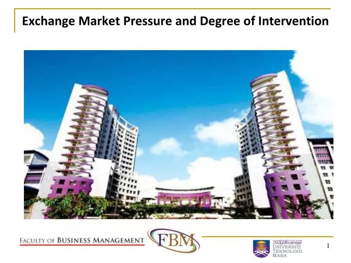 exchange market pressure and degree of intervention
