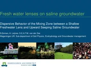 Fresh water lenses on saline groundwater