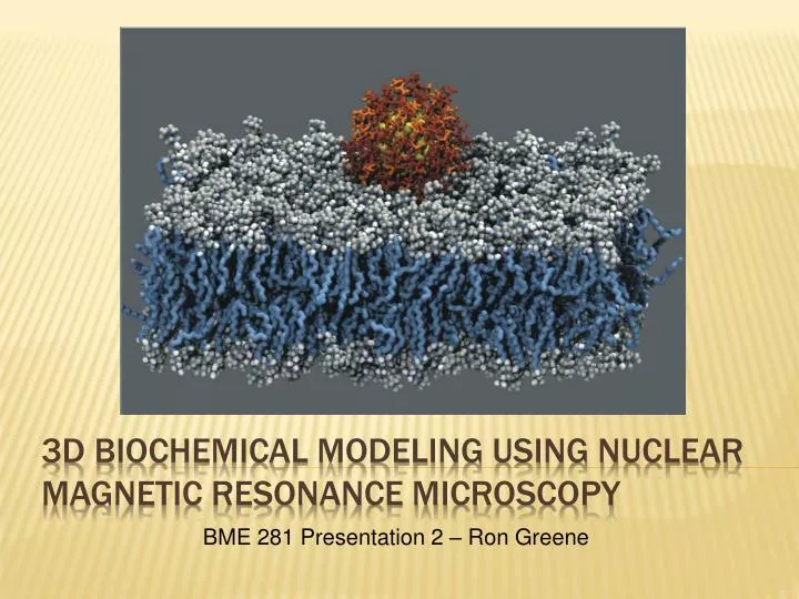 3d biochemical modeling using nuclear magnetic resonance microscopy