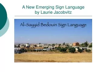 A New Emerging Sign Language by Laurie Jacobvitz