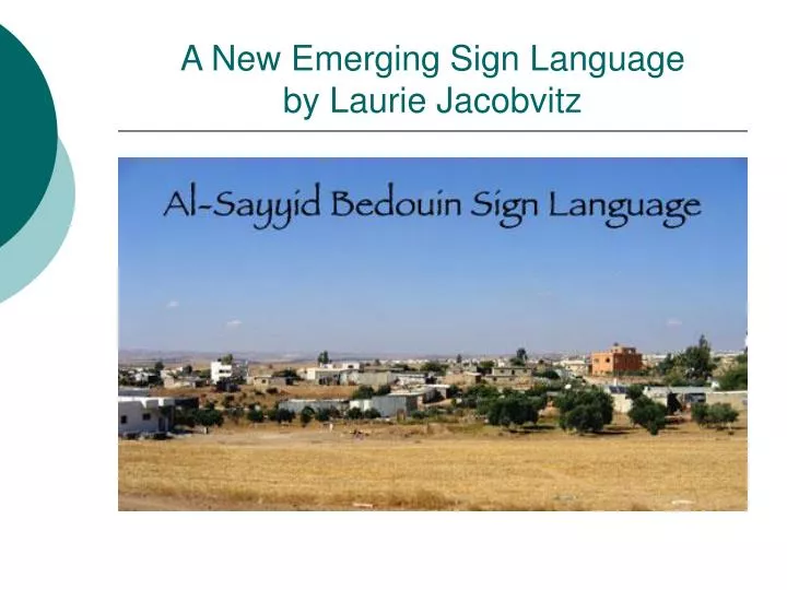 a new emerging sign language by laurie jacobvitz
