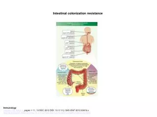 Intestinal colonization resistance