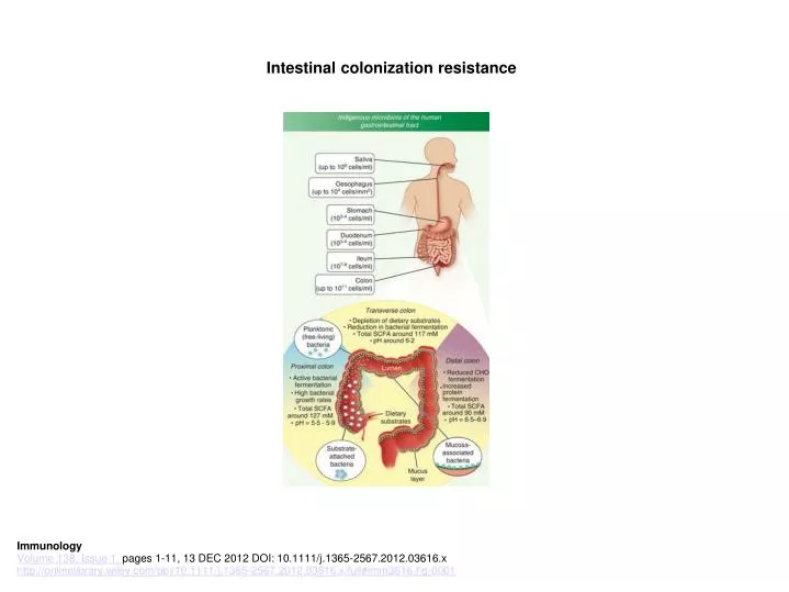 intestinal colonization resistance